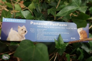 Panacur PetPaste Injector (5gr)