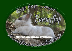 Bunnyflop Konijnen Webshop Berkenblad 